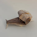 Escargot origami en papier japonais brun, coquille en spirale pliée à la main - orizuru Suisse
